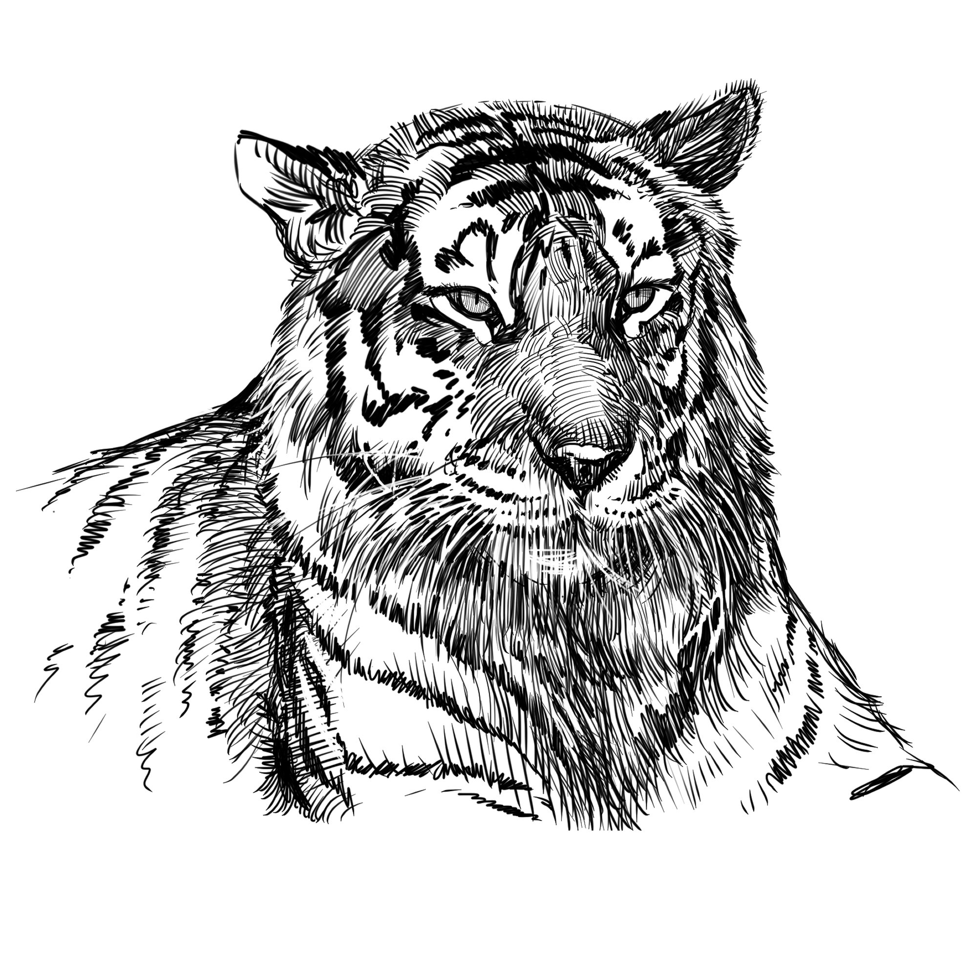 Tiger 2