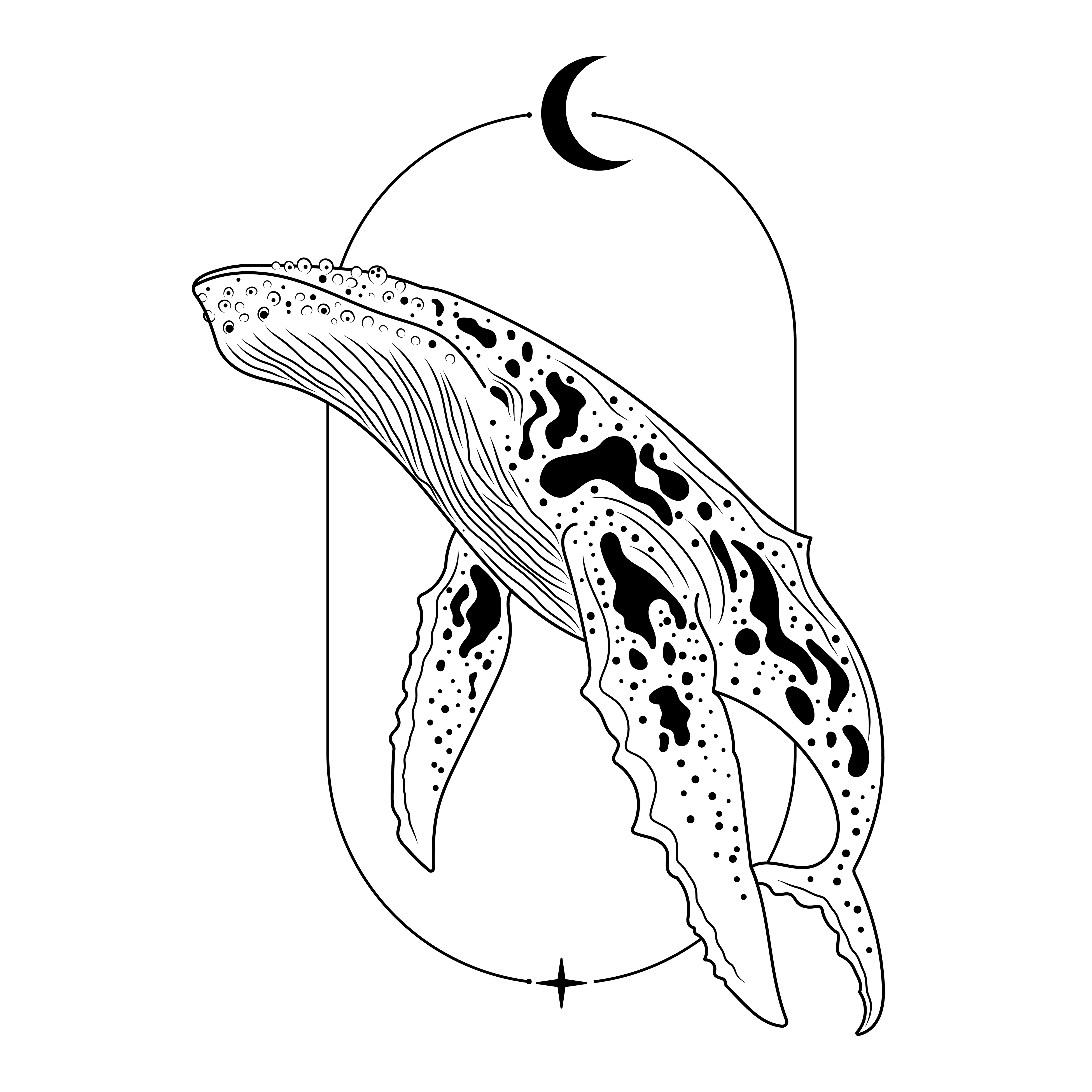 Whale 1
