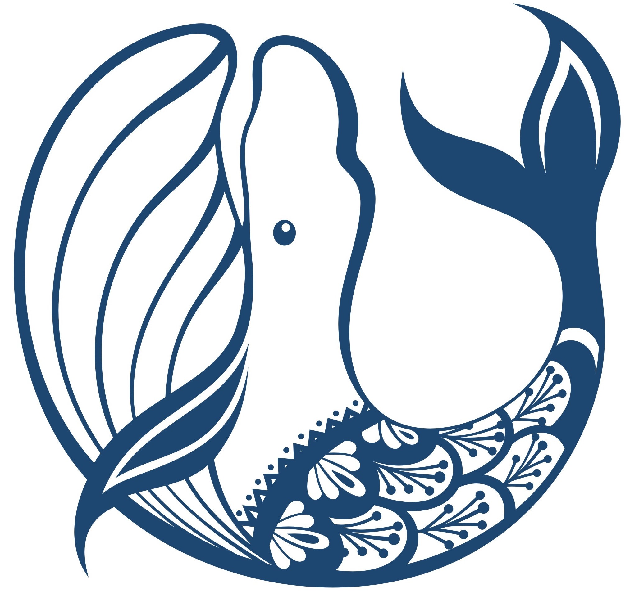 Whale 5