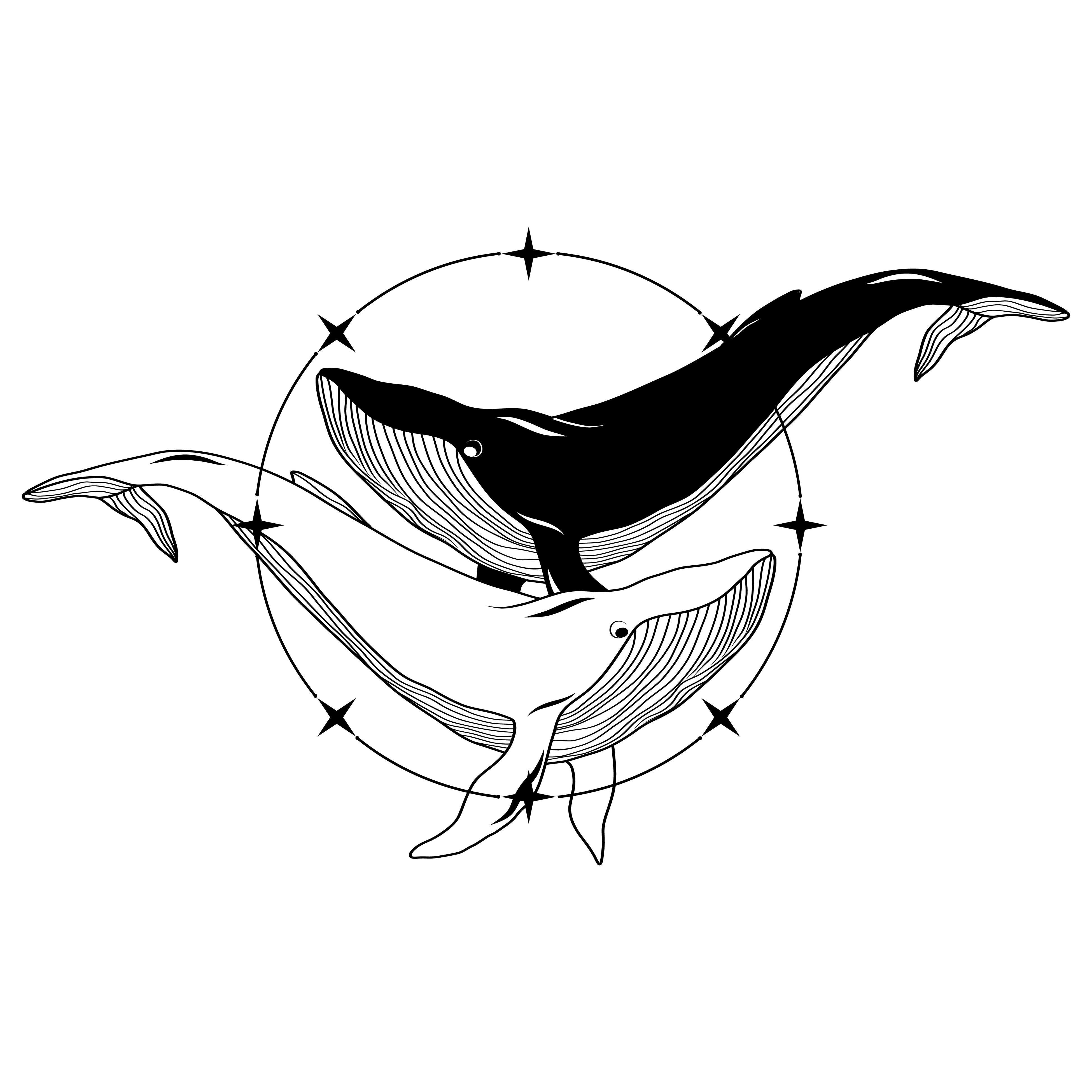 Whales